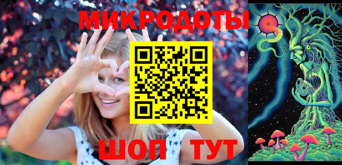 Галлюциногенные грибы Psilocybe Губаха