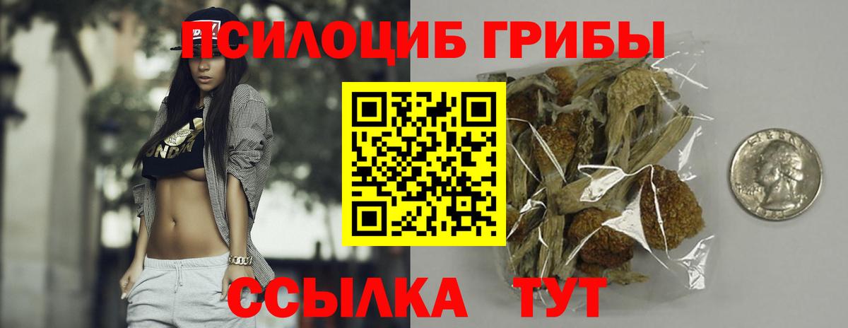 Губаха  Галлюциногенные грибы ЛСД  где продают наркотики  Галлюциногенные грибы MAGIC MUSHROOMS  Вход с VPN 